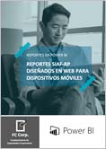 Reportes-SIAF-RP-Disenados-en-Web