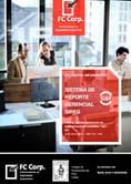 Reportes-SIAF-RP-Disenados-en-Web