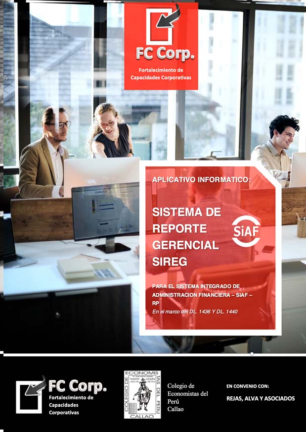 sistema-de-reporte-gerencial-png